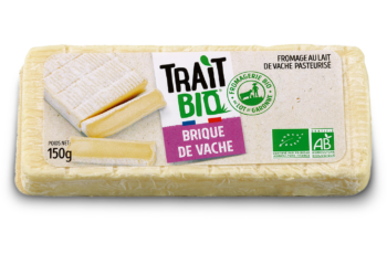 Brique de vache