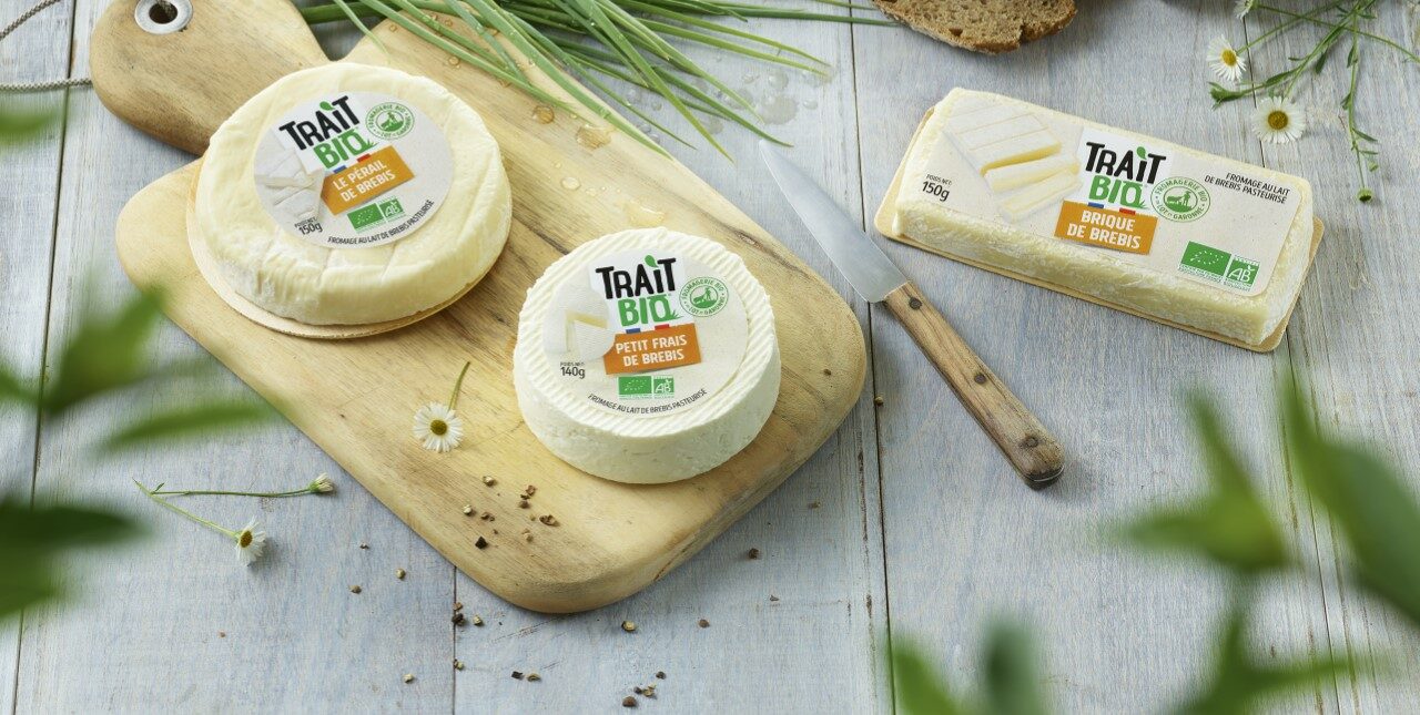 Fromages de brebis Bio